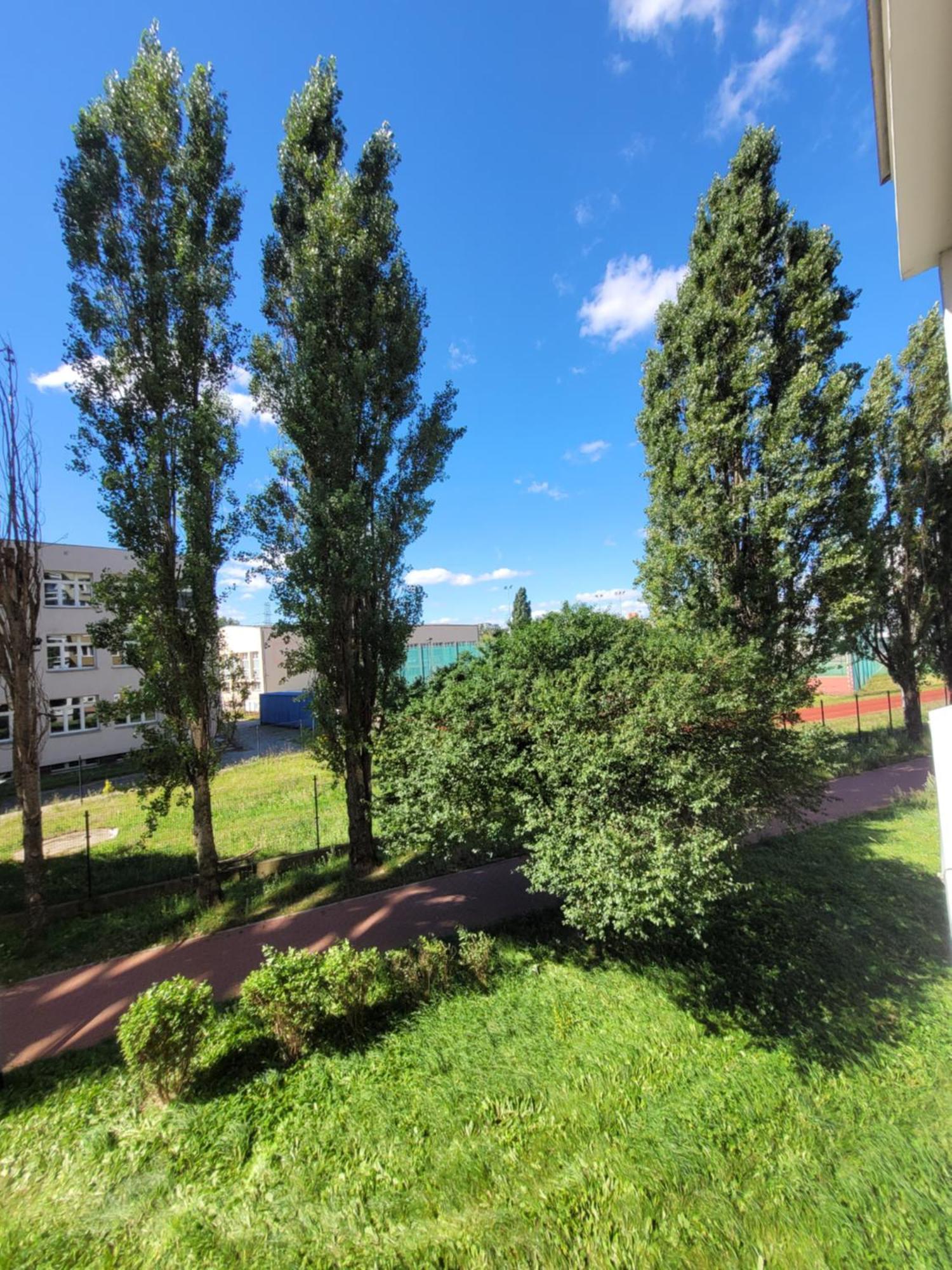 Rocco Nad Morzem Gdansk
